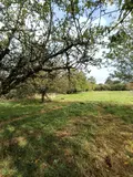 Terrains de loisirs bois etangs a vendre Villaines-la-Juhel 53700 Mayenne 53 31800 euros 1395 014