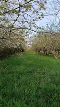 Terrains de loisirs bois etangs a vendre Villaines-la-Juhel 53700 Mayenne 53 31800 euros 1395 016