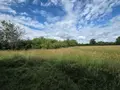 Terrains de loisirs bois etangs a vendre Villaines-la-Juhel 53700 Mayenne 53 31800 euros 1395 021
