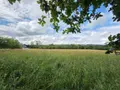 Terrains de loisirs bois etangs a vendre Villaines-la-Juhel 53700 Mayenne 53 31800 euros 1395 022