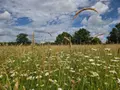 Terrains de loisirs bois etangs a vendre Villaines-la-Juhel 53700 Mayenne 53 31800 euros 1395 026