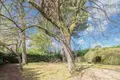 Maison a vendre Le Bouscat 33110 Gironde 33 250 m2 7 pièces 1664000 euros 015/785 017