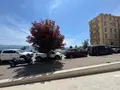 Fonds et murs commerciaux a vendre Ajaccio 20000 Corse-du-Sud 2A 74 m2 5 pièces 820000 euros 15655/979 005