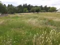 Terrain a batir a vendre Écommoy 72220 Sarthe 72 803 m2 54000 euros 023/2132 001