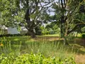 Terrain a batir a vendre Cancale 35260 Ille-et-Vilaine 35 168283 euros 11785/453 001