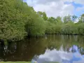 Terrains de loisirs bois etangs a vendre Quévert 22100 Côtes-d'Armor 22 105580 euros 037/988 003