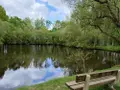 Terrains de loisirs bois etangs a vendre Quévert 22100 Côtes-d'Armor 22 105580 euros 037/988 009