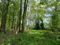 Terrains de loisirs bois etangs a vendre Quévert 22100 Côtes-d'Armor 22 105580 euros 037/988 005