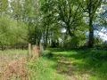Terrains de loisirs bois etangs a vendre Quévert 22100 Côtes-d'Armor 22 105580 euros 037/988 009