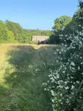 Maison a vendre Mauriac 15200 Cantal 15 10 pièces 212000 euros 15060/1271 015
