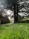 Maison a vendre Ris-Orangis 91130 Essonne 91 167 m2 7 pièces 369250 euros 7503973 008