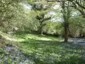 Propriete a vendre Bétête 23270 Creuse 23 90 m2 6 pièces 127920 euros 23010-113681 018