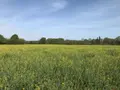 Bien agricole a vendre Torcé-en-Vallée 72110 Sarthe 72 39960 euros 079/2026 001