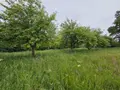 Maison a vendre Villaines-la-Juhel 53700 Mayenne 53 52 m2 2 pièces 37100 euros 1401 004