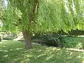 Maison a vendre Veuzain-sur-Loire 41150 Loir-et-Cher 41 160 m2 334430 euros 11893/511 002