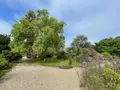Maison a vendre Trégastel 22730 Côtes-d'Armor 22 85 m2 3 pièces 252200 euros A58 023