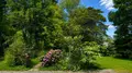 Viager maison Combourg 35270 Ille-et-Vilaine 35 237 m2 7 pièces 250000 euros 091-879 004