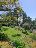 Maison a vendre Clohars-Carnoët 29360 Finistère 29 134 m2 935100 euros 29114-179 004