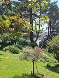 Maison a vendre Clohars-Carnoët 29360 Finistère 29 134 m2 935100 euros 29114-179 010