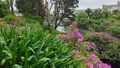 Maison a vendre Clohars-Carnoët 29360 Finistère 29 134 m2 935100 euros 29114-179 013