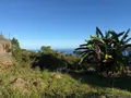 Terrain a batir a vendre La Possession 97419 La Réunion 974 213000 euros 97405/306 001