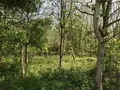 Terrains de loisirs bois etangs a vendre Lombron 72450 Sarthe 72 13200 euros 079/2029 002