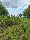 Maison a vendre Échemines 10350 Aube 10 220 m2 48240 euros 10378/1336 002
