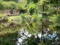 Maison a vendre Bazouges-la-Pérouse 35560 Ille-et-Vilaine 35 105 m2 5 pièces 355300 euros 091-882 006