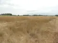 Bien agricole a vendre Saint-Gilles 30800 Gard 30 10000 euros 11411/456 002