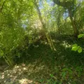 Terrains de loisirs bois etangs a vendre Chappes 10260 Aube 10 23500 euros 1036102/5974 005