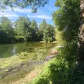 Terrains de loisirs bois etangs a vendre Chappes 10260 Aube 10 23500 euros 1036102/5974 001