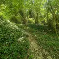 Terrains de loisirs bois etangs a vendre Chappes 10260 Aube 10 23500 euros 1036102/5974 003