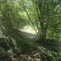 Terrains de loisirs bois etangs a vendre Chappes 10260 Aube 10 23500 euros 1036102/5974 007