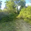 Terrains de loisirs bois etangs a vendre Chappes 10260 Aube 10 23500 euros 1036102/5974 004