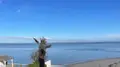 Maison a vendre Arcachon 33120 Gironde 33 250 m2 11 pièces 5900000 euros 011/1132 002