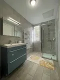 Maison a vendre Arcachon 33120 Gironde 33 250 m2 11 pièces 5900000 euros 011/1132 012