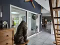 Maison a vendre Roscoff 29680 Finistère 29 228 m2 8 pièces 673500 euros 29105/108 007