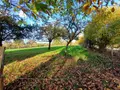 Terrain a batir a vendre Tessy-Bocage 50420 Manche 50 26250 euros 26-33 010