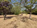 Maison a vendre Chinon 37500 Indre-et-Loire 37 75 m2 3 pièces 88560 euros 37049-149 009
