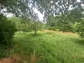 Maison a vendre Beaumontois en Périgord 24440 Dordogne 24 115 m2 5 pièces 199000 euros 18113/186 017
