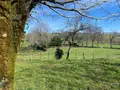 Maison a vendre Saint-Illide 15310 Cantal 15 4 pièces 58300 euros 15060/1278 009