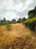 Maison a vendre Chauvigny 86300 Vienne 86 83 m2 3 pièces 79800 euros 2562 003