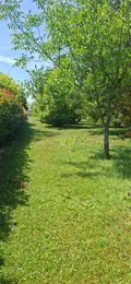 Maison a vendre Monceau-le-Neuf-et-Faucouzy 02270 Aisne 02 131 m2 5 pièces 157500 euros 02014/909 027