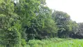 Terrains de loisirs bois etangs a vendre Plougonven 29640 Finistère 29 48600 euros TEBE0502 001