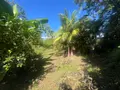 Terrain a batir a vendre Saint-Benoît 97437 La Réunion 974 162000 euros 97404/32 001