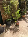 Maison a vendre Givrauval 55500 Meuse 55 125 m2 8 pièces 118400 euros 55008/107 009