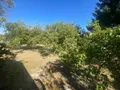 Terrains de loisirs bois etangs a vendre Allonnes 72700 Sarthe 72 62640 euros 13816/1219 007