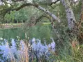 Terrains de loisirs bois etangs a vendre Le Tranger 36700 Indre 36 21400 euros 1052709 001