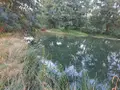 Terrains de loisirs bois etangs a vendre Le Tranger 36700 Indre 36 21400 euros 1052709 003
