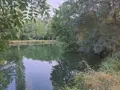 Terrains de loisirs bois etangs a vendre Le Tranger 36700 Indre 36 21400 euros 1052709 005